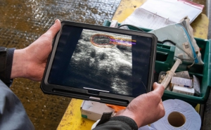 NEW INNOVATION IN ULTRASOUND BRINGS ‘FERTILITY INTO FOCUS’. THE FUTURE STARTS HERE